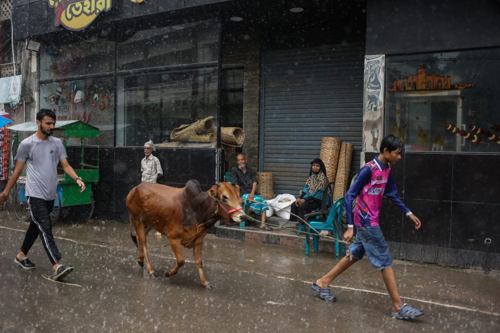 ঈদের নামাজ শেষে চলছে পশু কোরবানি