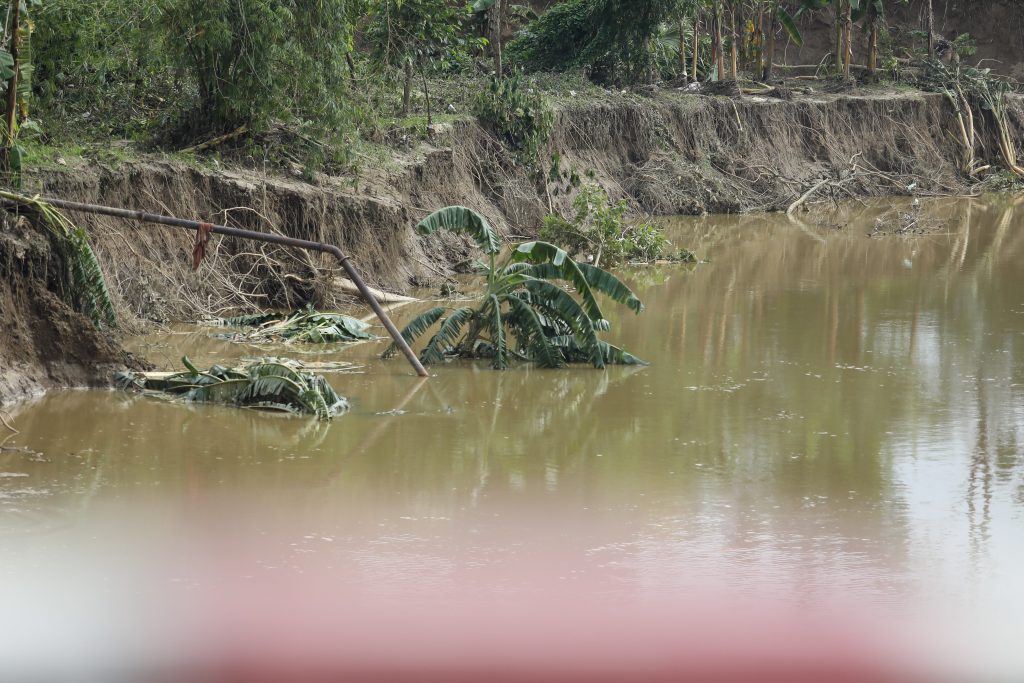 মেঘনা তীরবর্তী বেড়িবাঁধে ভাঙন, বন্যা আতঙ্ক