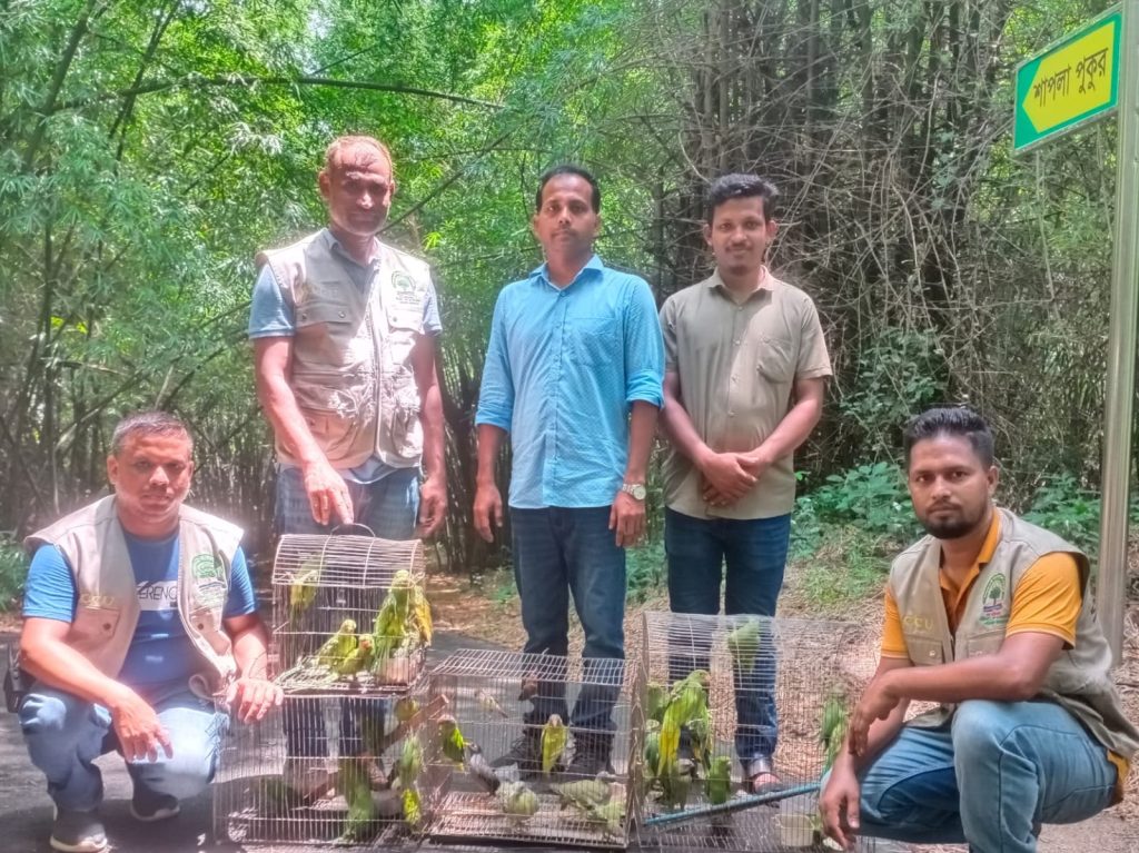 মুক্তি পেল ৬১ পাখি ও দুটি কচ্ছপ