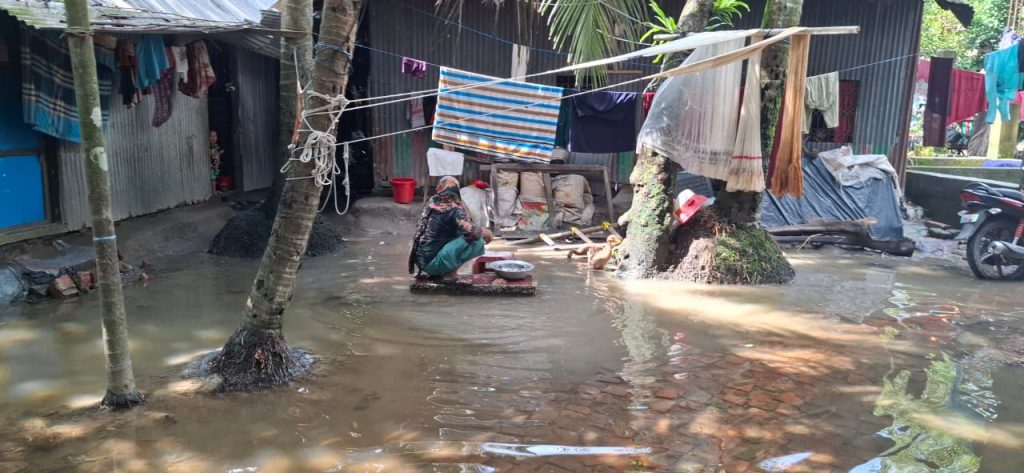 গ্রাম প্লাবিত