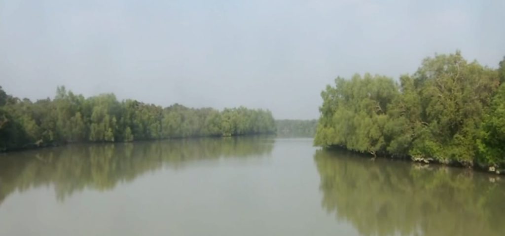 মুক্তিপণ দিয়ে ফিরেছে অপহৃত ১৪ জেলে, এখনো জিম্মি ৬