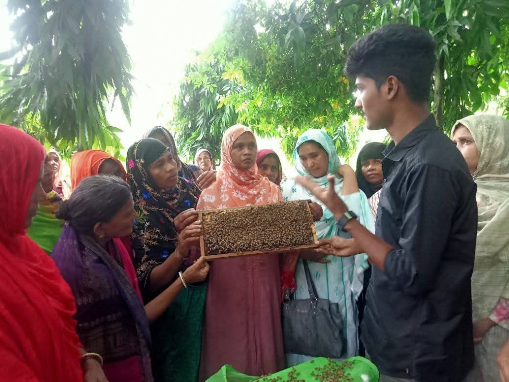 মৌচাষে সফল রাকিব