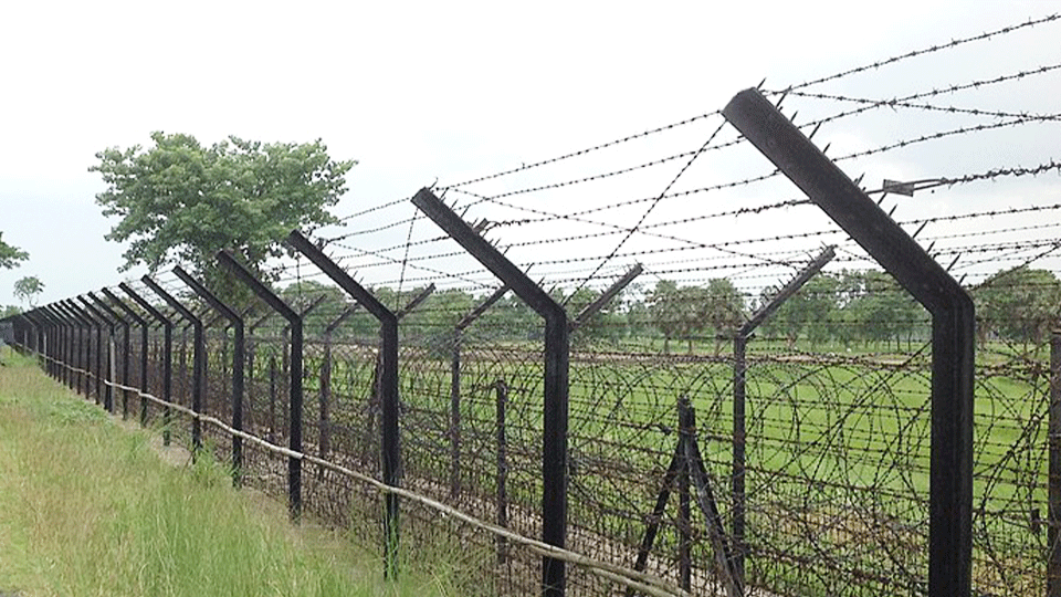 বাংলাদেশ-ভারত সীমান্তের কাঁটাতারের বেড়া। ছবি : সংগৃহীত