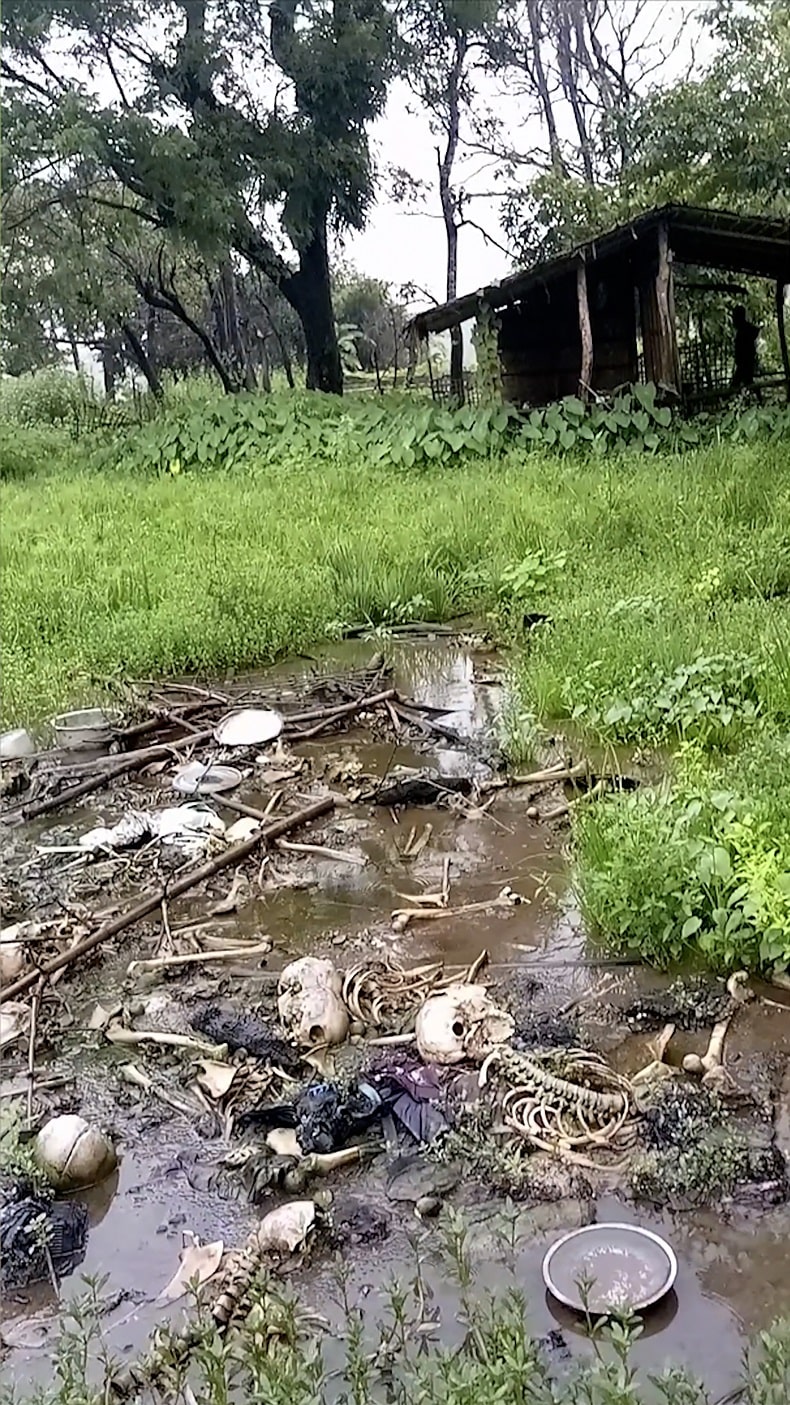 হ্তান শউক খান গ্রামে জলার মধ্যে ভেসে থাকা মানুষের কঙ্কাল। এই গ্রামটিতেই গত বছর হত্যাযজ্ঞ চালিয়েছিল আরাকান আর্মি। ছবি: শামসুল