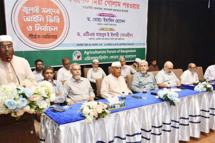 ‘জুলাই সনদের আইনি ভিত্তি ও নির্বাচন শীর্ষক’ সেমিনারে কথা বলছেন মিয়া গোলাম পরওয়ার। ছবি: টাইমস