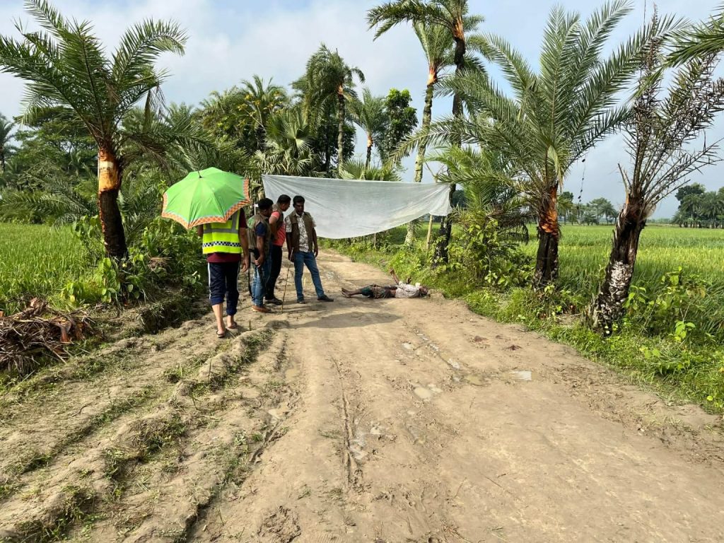 মরদেহ
