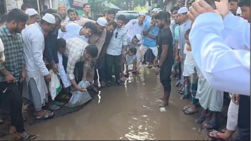 কুমিল্লায় সড়কে মাছ ছেড়ে হাসনাত আবদুল্লাহর প্রতিবাদ