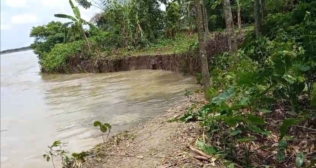 মাগুরায় মধুমতির ভাঙনে বিলীনের পথে দুটি গ্রাম