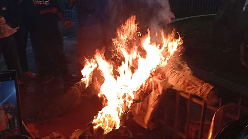 ঢাবিতে ইলিয়াস-পিনাকীর কুশপুতুলে আগুন