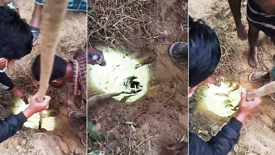 ৪ ঘণ্টা পর গভীর নলকূপের গর্ত থেকে উদ্ধার হলো তিন বছরের শিশু