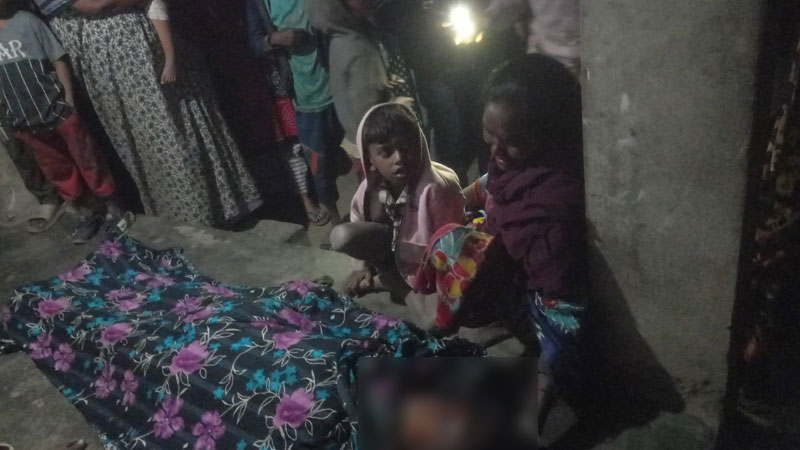 চুয়াডাঙ্গায় সড়ক দুর্ঘটনায় নারী নিহত, আহত ১৫