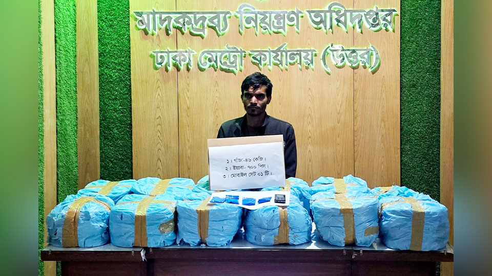 মুড়িবোঝাই পিকআপে মিলল ৪৬ কেজি গাঁজা