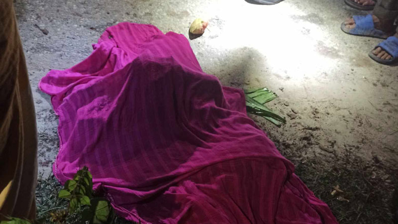 নীলফামারীতে ট্রাকচাপায় প্রাণ গেল ২ ভাইয়ের