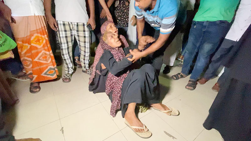 শেরপুরে সড়ক দুর্ঘটনায় নারীসহ নিহত ২