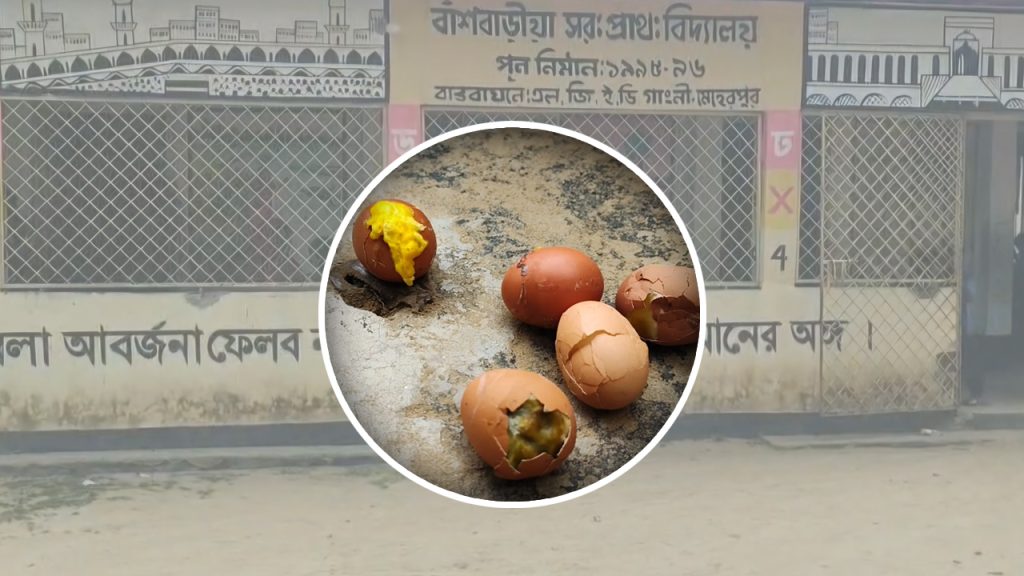 মেহেরপুরে স্কুল ফিডিংয়ে পচা খাবার, ক্ষুব্ধ অভিভাবকরা