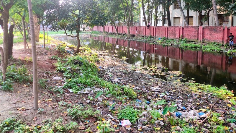 বিলীনের পথে পাবনার প্রাকৃতিক জলাধার