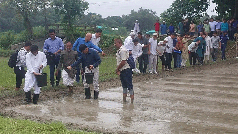 বন্যাকবলিত ৫ জেলায় ধানের চারা, গবাদিপশুর টিকা দিবে সরকার