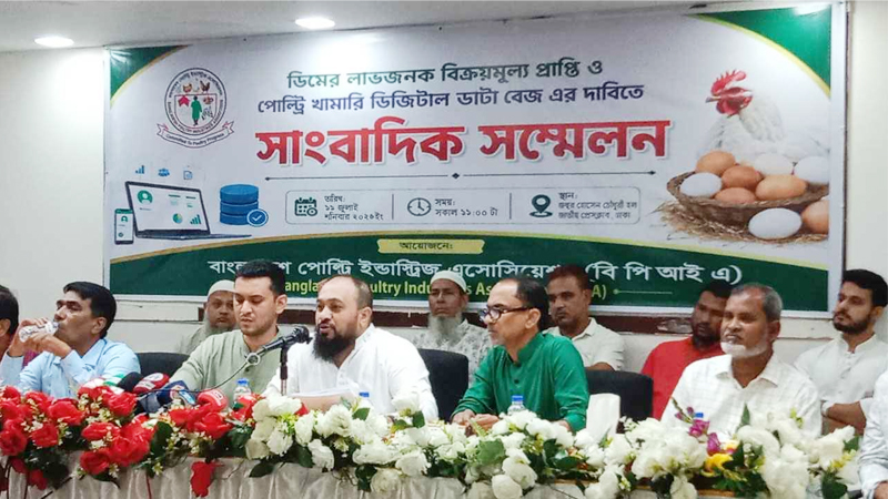 প্রতি ডিমে ৪ টাকা লোকসান, দাবি খামারিদের