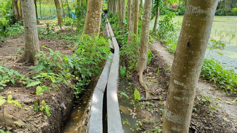 ধসে পড়ল ড্রেন, লাপাত্তা ইউপি চেয়ারম্যান