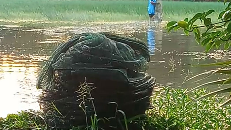 চায়না দুয়ারি জালে হারিয়ে যাচ্ছে দেশীয় মাছ, হুমকিতে জীববৈচিত্র্য