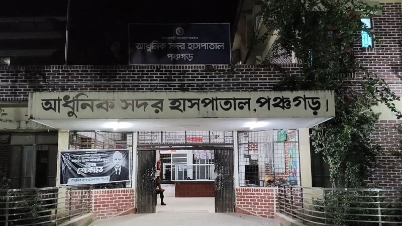 পঞ্চগড়ে রাতের আঁধারে শিয়ালের হামলায় আহত ৭