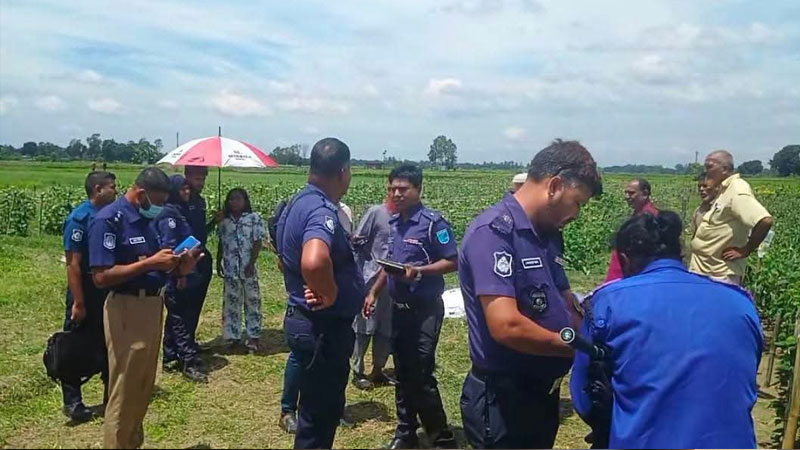 সাটুরিয়ায় ফসলের জমি থেকে বৃদ্ধার মরদেহ উদ্ধার