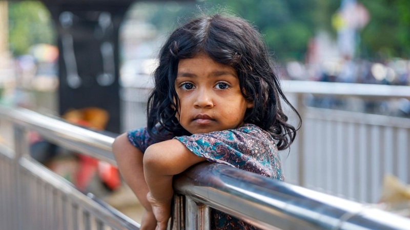 অসুস্থ-আহত, তবু রাস্তায় পড়ে থাকে অবহেলায়