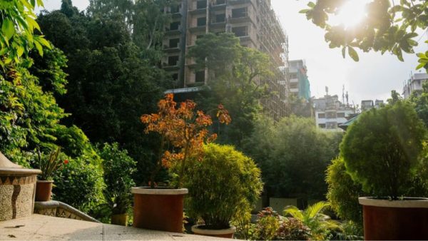 আলোর সংকটে ধুঁকতে থাকা এক উদ্যান