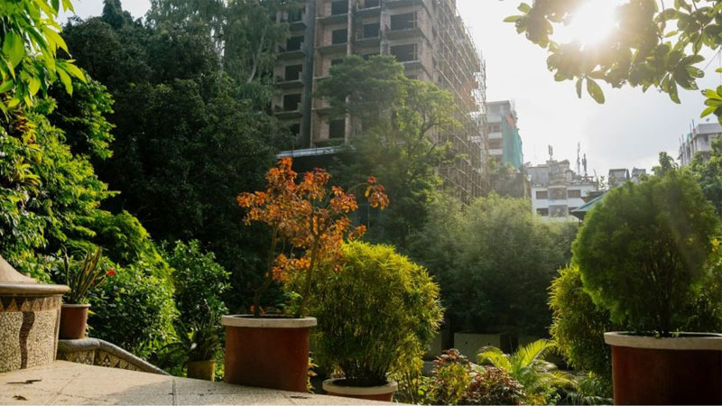 আলোর সংকটে ধুঁকতে থাকা এক উদ্যান