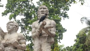 নীরবে হারিয়ে যাওয়া কাকের ডাক
