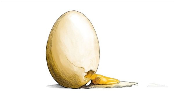ডিমের দাম এত বাড়ছে কেন?