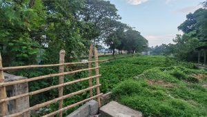 দখলের জেরে কালীগঙ্গা আর নদী নেই