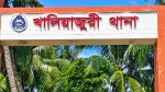 খালিয়াজুরীতে ডোবায় পড়ে ২ শিশুর মৃত্যু