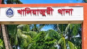 খালিয়াজুরীতে ডোবায় পড়ে ২ শিশুর মৃত্যু