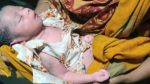 বগুড়ায় জঙ্গল থেকে নবজাতক উদ্ধার