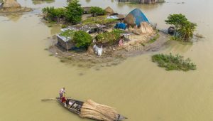 পানির সঙ্গে লড়াই করে টিকে থাকা