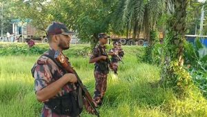 পিচ্চি রাজার সীমান্ত পার হওয়া ঠেকাতে সাতক্ষীরায় টহল জোরদার