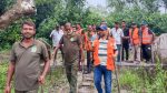 নেট ছিঁড়ে বাইরে বাঘ, ভয়ে ওয়াচ টাওয়ারে বনরক্ষীরা