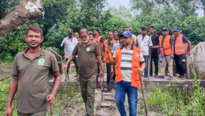 নেট ছিঁড়ে বাইরে বাঘ, ভয়ে ওয়াচ টাওয়ারে বনরক্ষীরা