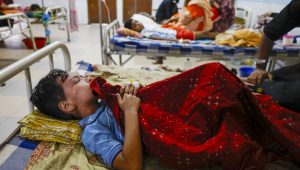 ডেঙ্গুতে আরও ৭ মৃত্যু, ভর্তি ১৫৯৩