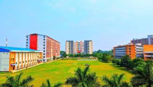 টাইমস হায়ার এডুকেশন র‍্যাঙ্কিংয়ে ফের বিজ্ঞান-প্রযুক্তিতে শীর্ষে যবিপ্রবি