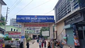 ঝিনাইদহে ৯ মাসে প্রাণীর কামড়ে আক্রান্ত ১৮ হাজার, ভ্যাকসিনের সংকট