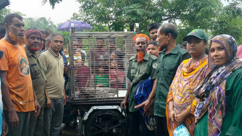 শ্যামনগর থেকে অজগর উদ্ধার