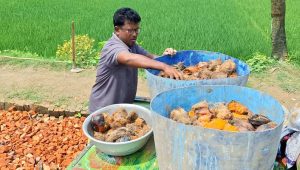 বজ্রপাতে কৃষকের প্রাণ বাঁচাতে জহির রায়হানের অভিনব উদ্যোগ