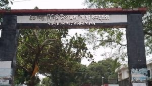 ঠাকুরগাঁওয়ে মিড-ডে মিল খেয়ে অর্ধশতাধিক শিক্ষার্থী অসুস্থ