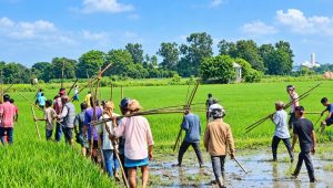 ব্রাহ্মণবাড়িয়ার বিজয়নগরে দুই পক্ষের দফায় দফায় সংঘর্ষ, আহত ৩০