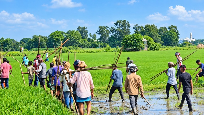 ব্রাহ্মণবাড়িয়ার বিজয়নগরে দুই পক্ষের দফায় দফায় সংঘর্ষ, আহত ৩০