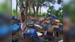 কলারোয়ায় মৌবাক্স পুকুরে ফেলে মৌমাছি হত্যা, ২০ লাখ টাকার ক্ষতি