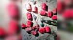 পুরাতন বাণিজ্য মেলার মাঠ থেকে ১৫ ককটেল, ৫ পেট্রোল বোমা উদ্ধার