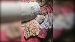 চবির এ এফ রহমান হলে ছাদের পলেস্তারা খসে শিক্ষার্থী আহত